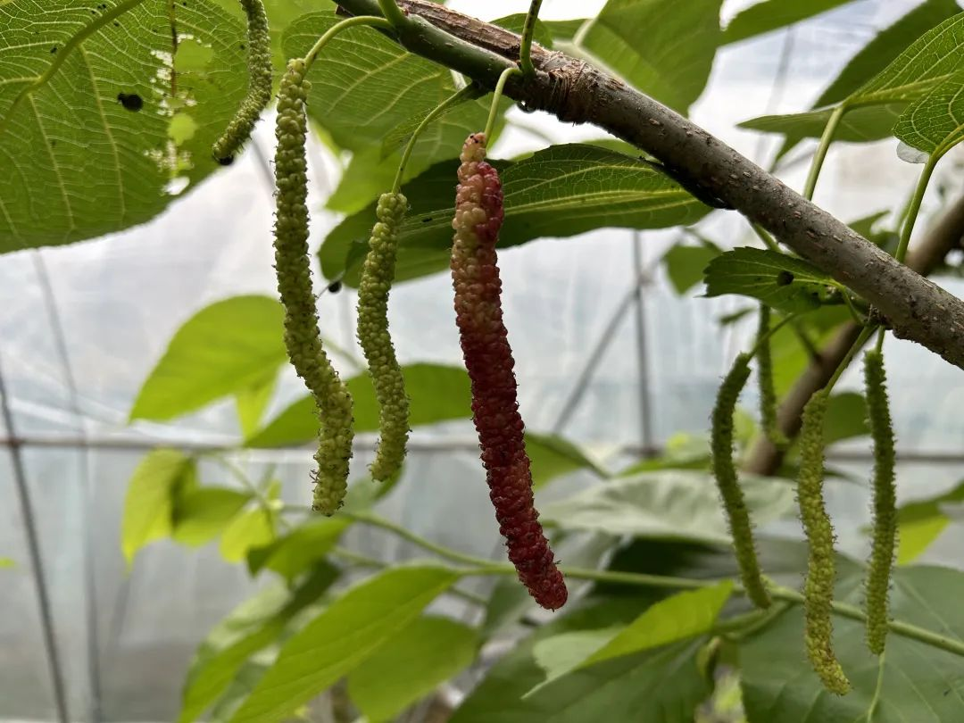 1733133323158985.png 1733133323158985.png